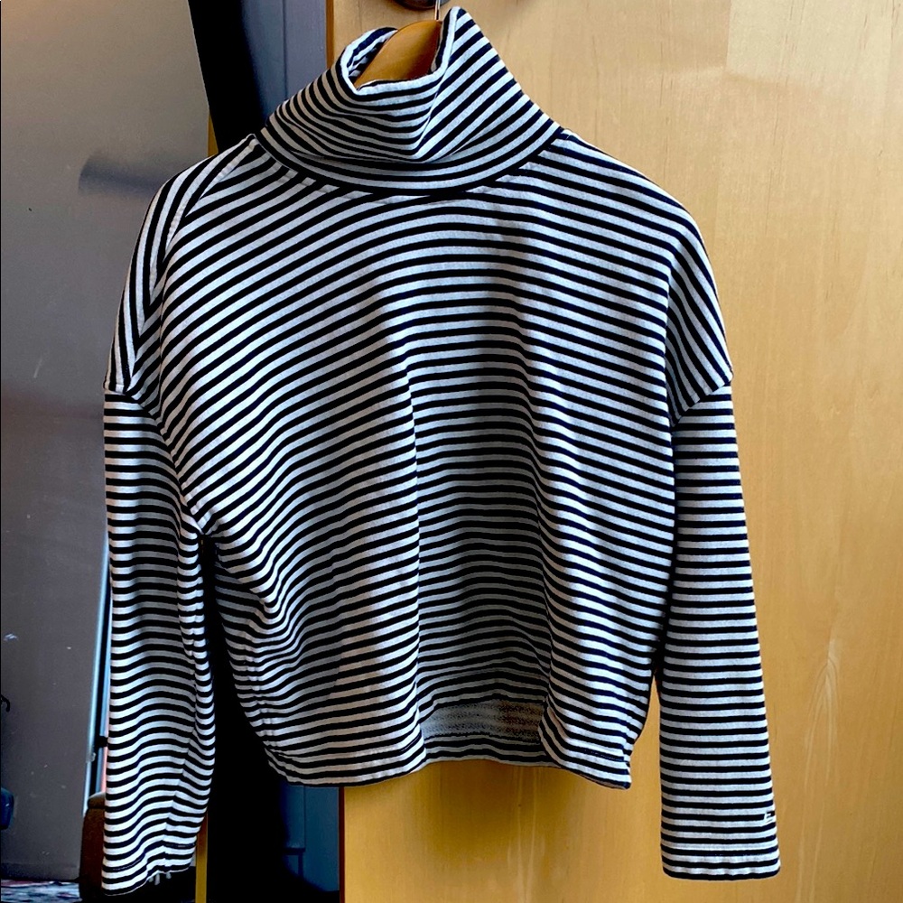 Everlane Black and White Striped Turtleneck Sweater